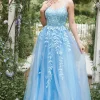 Blue Tulle A Line Prom Dress with Appliques