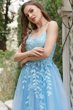 Blue Tulle A Line Prom Dress with Appliques