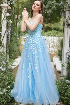 Blue Tulle A Line Prom Dress with Appliques
