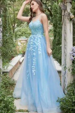 Blue Tulle A Line Prom Dress with Appliques