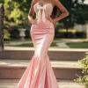 Blush Mermaid Sweetheart Sleeveless Embroidery Prom Dress