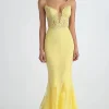 Daffodil Sheath Thin Straps Mesh Formal Dress