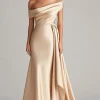 One Shoulder Pleated Champagne Sheath Long Formal Dress