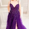 Purple Beading Tulle Plus Size Prom Dress with Slit