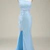 Stylish Mermaid Light Blue Long Prom Dress with Appliques